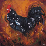Rooster, no. 500