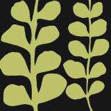 Buy Green Fern on Black at AllPosters.com