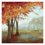 Buy A Sense of Space II at AllPosters.com