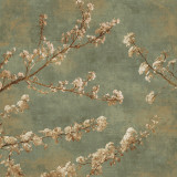 Buy Morning Blossom II at AllPosters.com