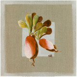 Buy Radis at AllPosters.com