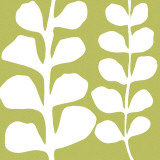 Buy White Fern on Green at AllPosters.com
