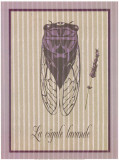 Cigale Lavande
