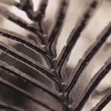 Abstraction