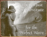 Surf - No Substitute