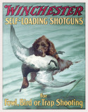 WIN- Foul & Trap Shooting