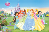 Disney Princesses