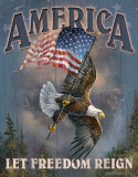 Buy America - Let Freedom Reign at AllPosters.com