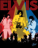 Petruccio - Elvis Vegas