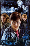 Buy Deathly Hallows - Part 1 Collage at AllPosters.com