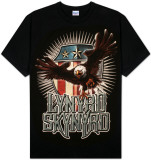 Lynyrd Skynyrd - Pick Em Up