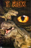 Dinosaur - T-Rex