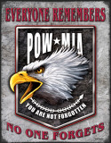 Buy Legends - POW Eagle at AllPosters.com