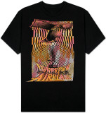 Buy Jefferson Airplane -  Psychedelic Plane at AllPosters.com
