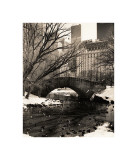 Buy Central Park Bridges IV at AllPosters.com