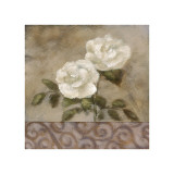 Buy Spring Beauty at AllPosters.com