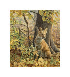 Eyes of Autumn
