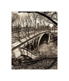 Buy Central Park Bridges III at AllPosters.com