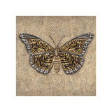 Tiger Butterfly