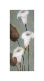 Buy Perfection II at AllPosters.com