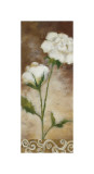 Buy Spring Splendor at AllPosters.com