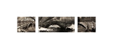 Buy Central Park Bridges (tryptych) at AllPosters.com