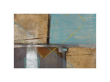 Buy Environment at AllPosters.com