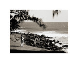 Buy Surf Check, 1930 at AllPosters.com