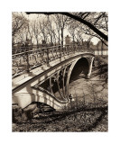 Central Park Bridges III