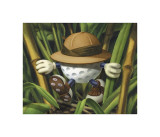 Lost Ball