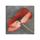 Buy Rouge at AllPosters.com