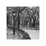 Buy Walk Through the Park at AllPosters.com