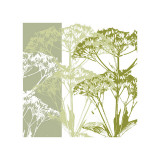 Buy Delicate Greens at AllPosters.com