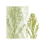 Gossamer Greens