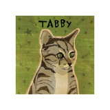 Tabby (grey)