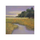 Buy Placid Marsh at AllPosters.com