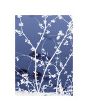 Autumn Branch (blue)