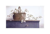 Buy Dogwood Branch at AllPosters.com