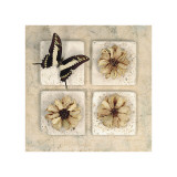 Buy Woodland Wonders I at AllPosters.com