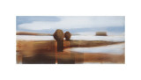 Buy Liquid Landscape at AllPosters.com
