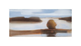 Buy Fluid Field at AllPosters.com