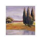Buy Sunset Cypress at AllPosters.com