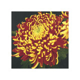 Buy Chrysanthemum, no. 1 at AllPosters.com