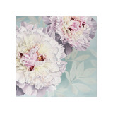 Buy Peony on Blue at AllPosters.com