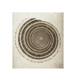 Buy Sundial Shell at AllPosters.com
