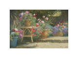 Potted Flowers