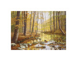 Buy Golden Flow at AllPosters.com