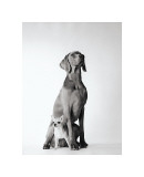 Max and Roxie