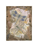 Buy Honeycomb Dragonflies at AllPosters.com