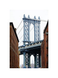 Buy Dumbo View at AllPosters.com